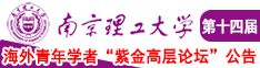 插穴爱爱视频南京理工大学第十四届海外青年学者紫金论坛诚邀海内外英才！